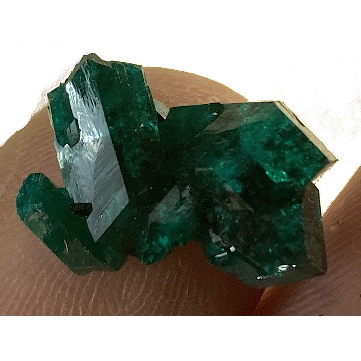 TOP! DIOPTASE - Mindouli, RD Congo