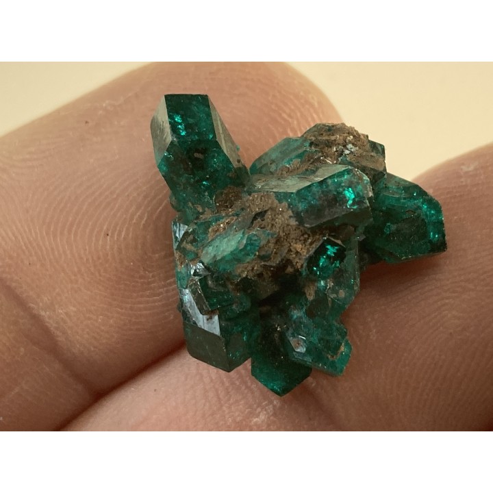 TOP! DIOPTASE - Mindouli, RD Congo