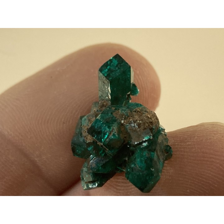 TOP! DIOPTASE - Mindouli, RD Congo