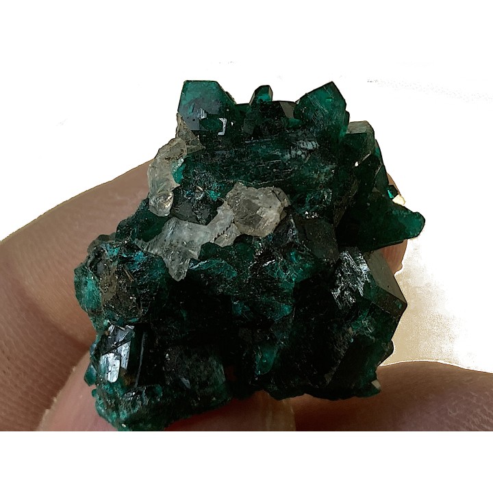 TOP! CALCITE sur DIOPTASE - Mindouli, RD Congo