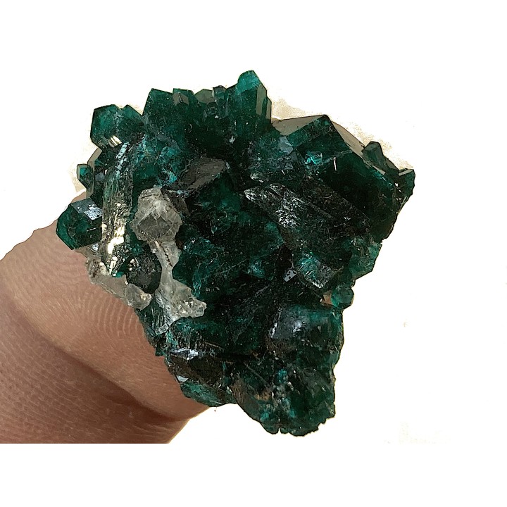TOP! CALCITE on DIOPTASE  - Mindouli, RD Congo