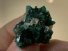 TOP! CALCITE on DIOPTASE  - Mindouli, RD Congo