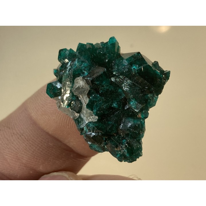 TOP! CALCITE on DIOPTASE  - Mindouli, RD Congo