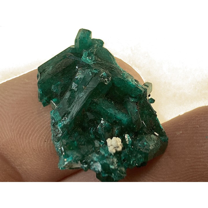 TOP! DIOPTASE - Mindouli, RD Congo