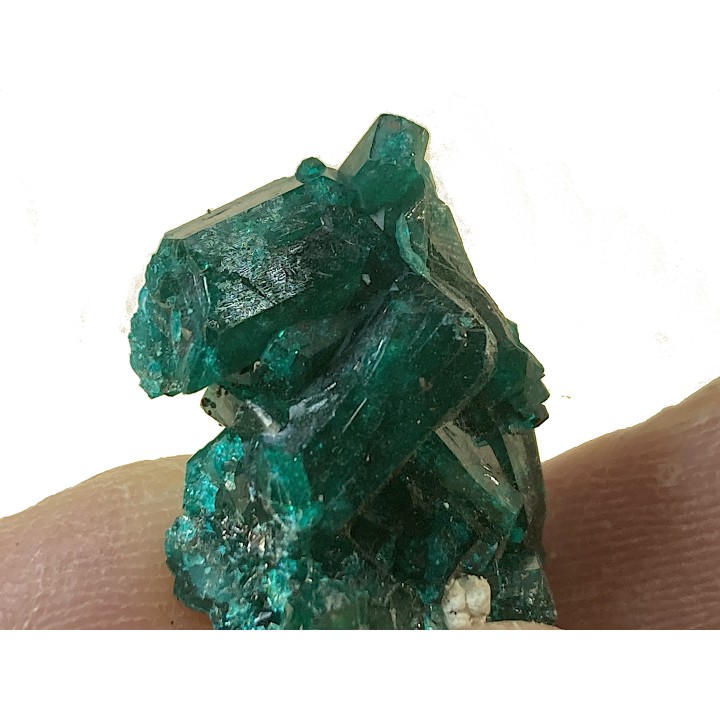 TOP! DIOPTASE - Mindouli, RD Congo