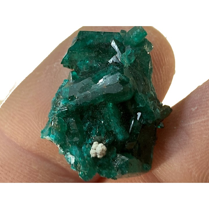 TOP! DIOPTASE - Mindouli, RD Congo
