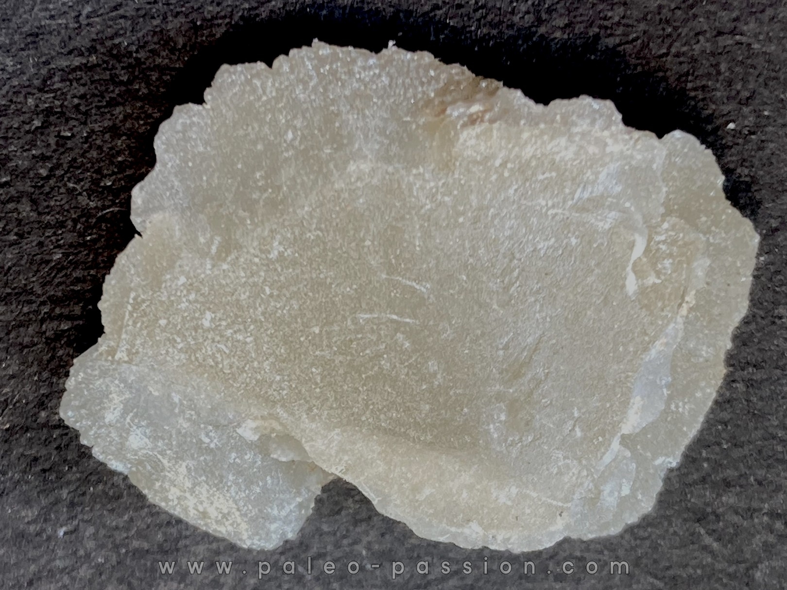 STOLZITE - sainte Lucie mine, Lozere - FRANCE