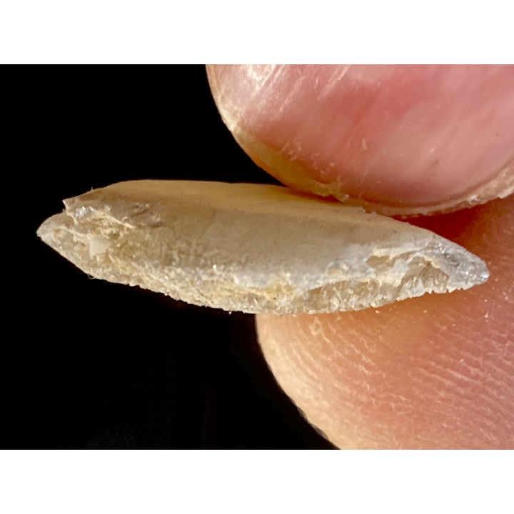 STOLZITE - sainte Lucie mine, Lozere - FRANCE