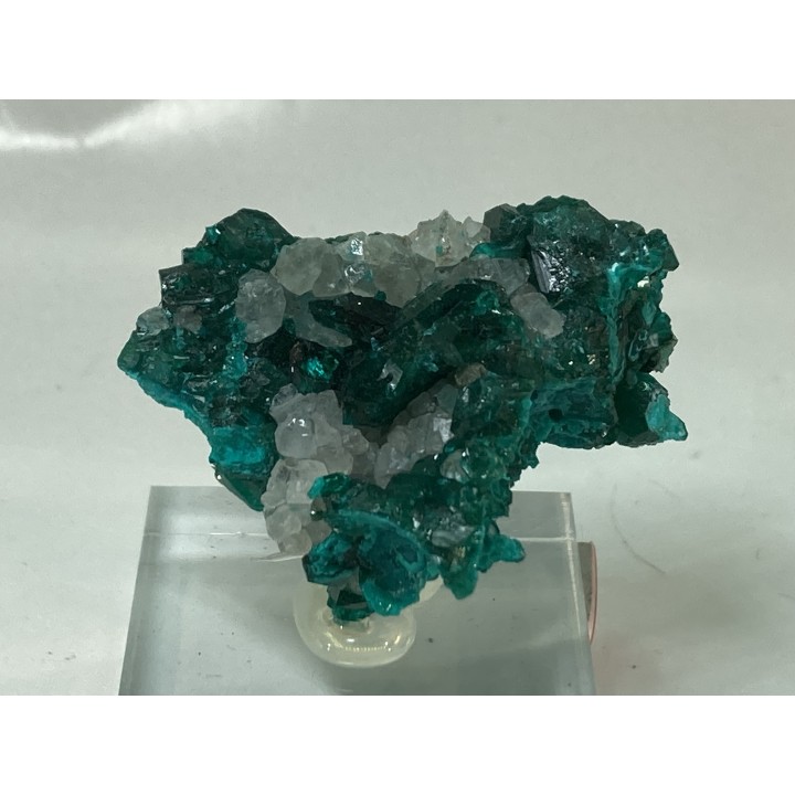 TOP! CALCITE on DIOPTASE  - Mindouli, RD Congo