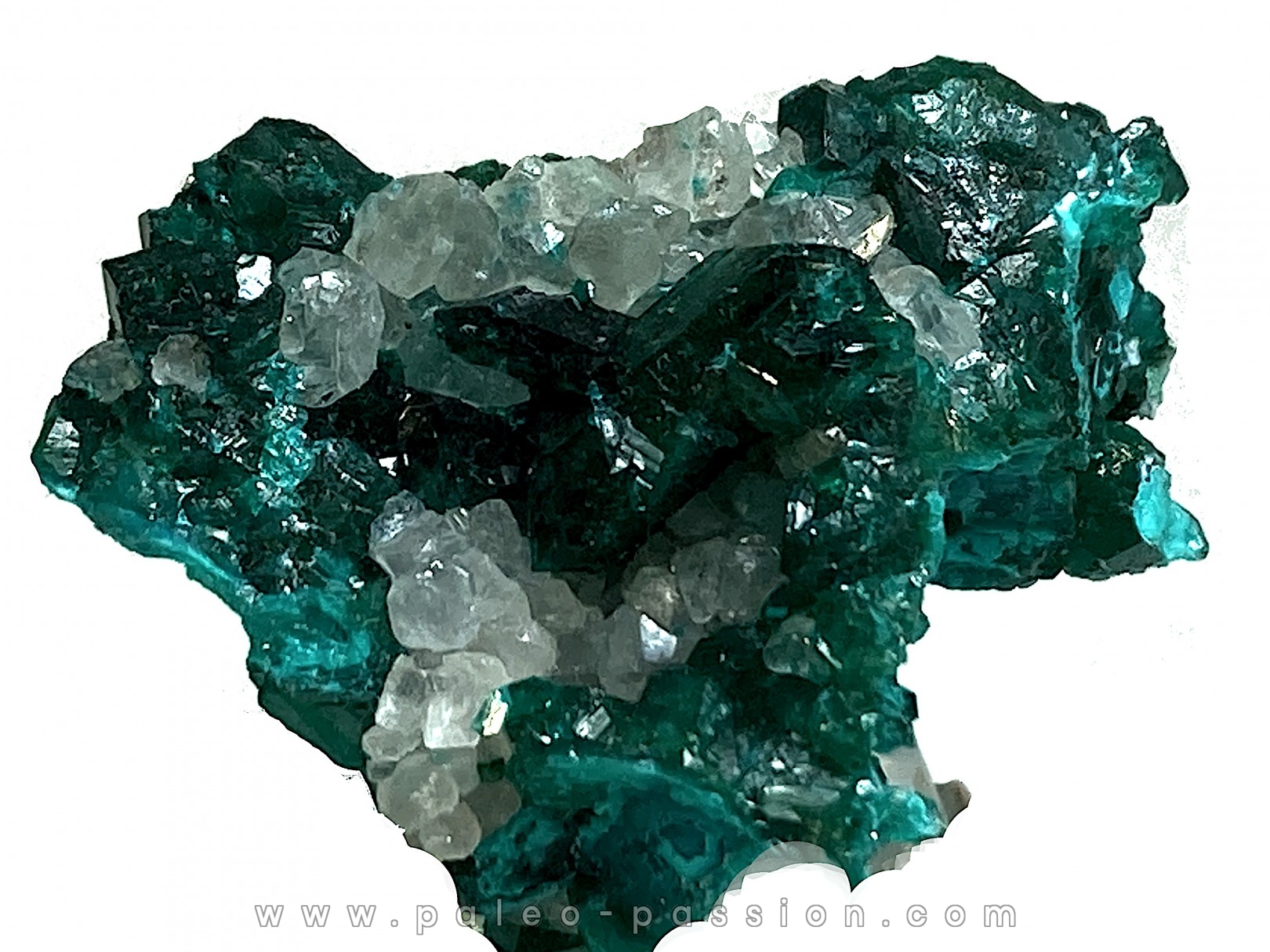 TOP! CALCITE sur DIOPTASE - Mindouli, RD Congo