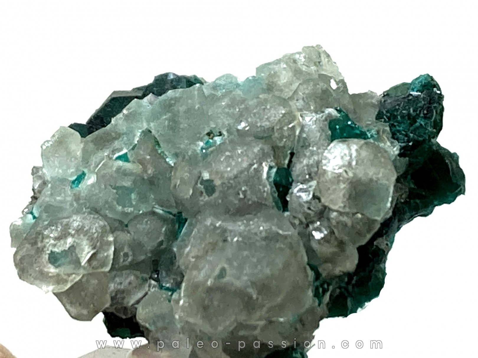 TOP! CALCITE sur DIOPTASE - Mindouli, RD Congo