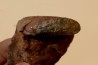 Calliphylloceras nilssoni - TOARCIEN - Carriere Belmont - LYON - FRANCE