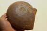 Harpoceras subplanatum - TOARCIEN - Carriere Belmont - FRANCE