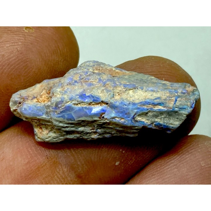 blue opale wood - coober pedy - Australia