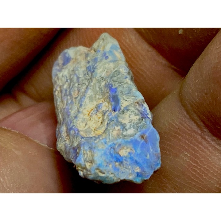 blue opale wood - coober pedy - Australia
