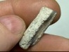 blue opale wood - coober pedy - Australia