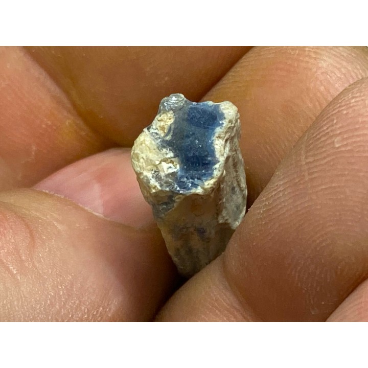 blue opale wood - coober pedy - Australia