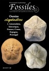 Fossiles Hors-Série 2020 – Oursins Clypéastres – 1. Généralités, historique, France, Corse, Espagne, Portugal