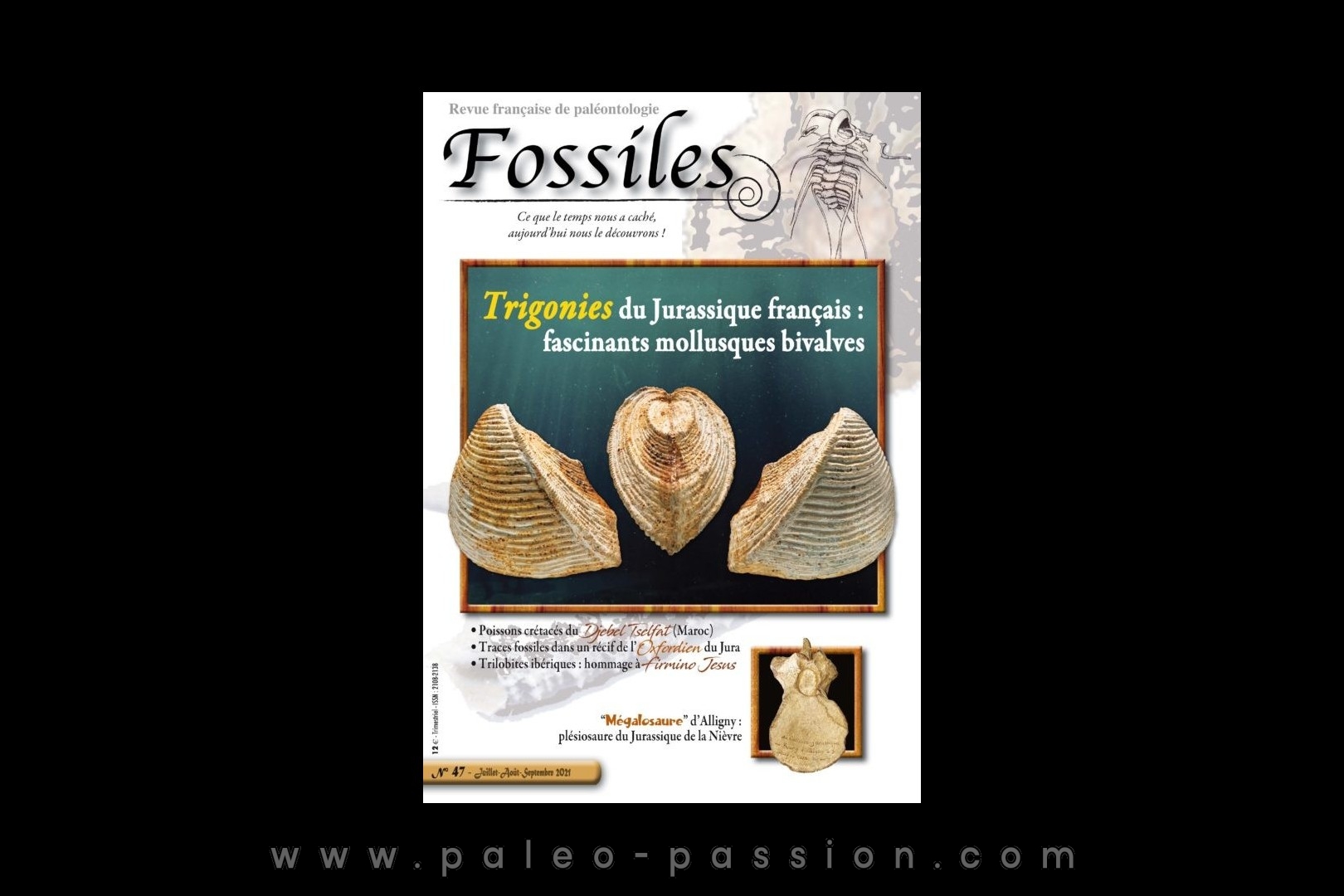 revue FOSSILES n°47 - juillet aout septembre 2021