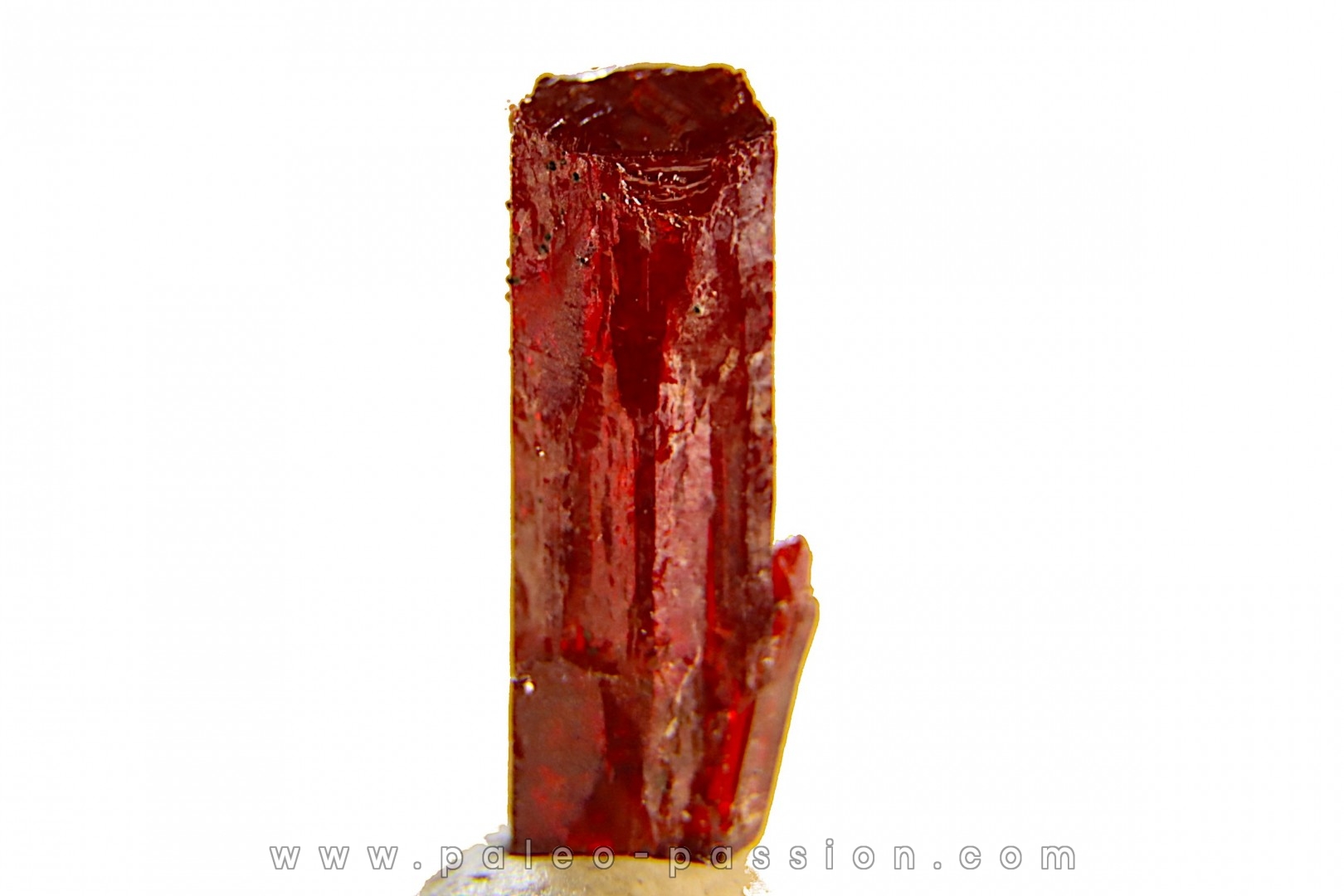 PROUSTITE - mine de Bouismas, Bou Azzer, Maroc