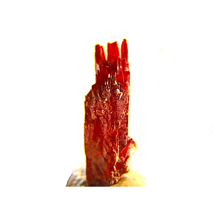 PROUSTITE - Bouismas mine, Bou Azzer, Morocco