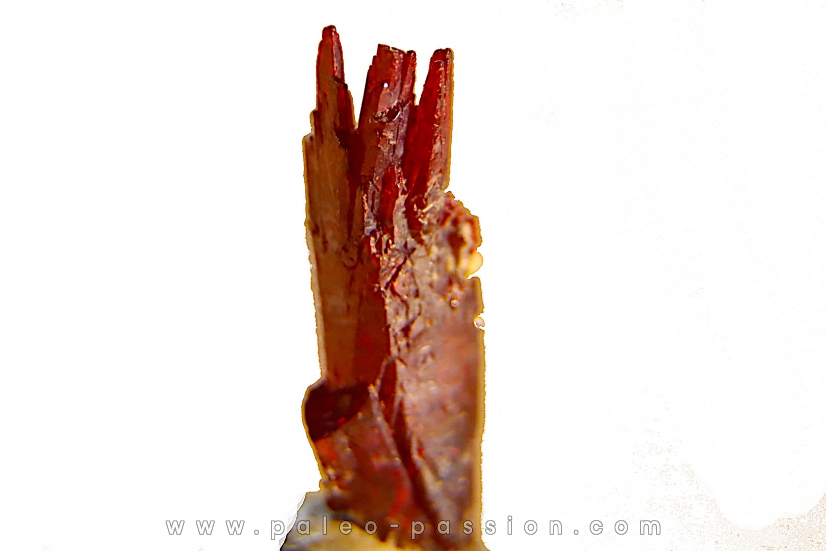 PROUSTITE - mine de Bouismas, Bou Azzer, Maroc
