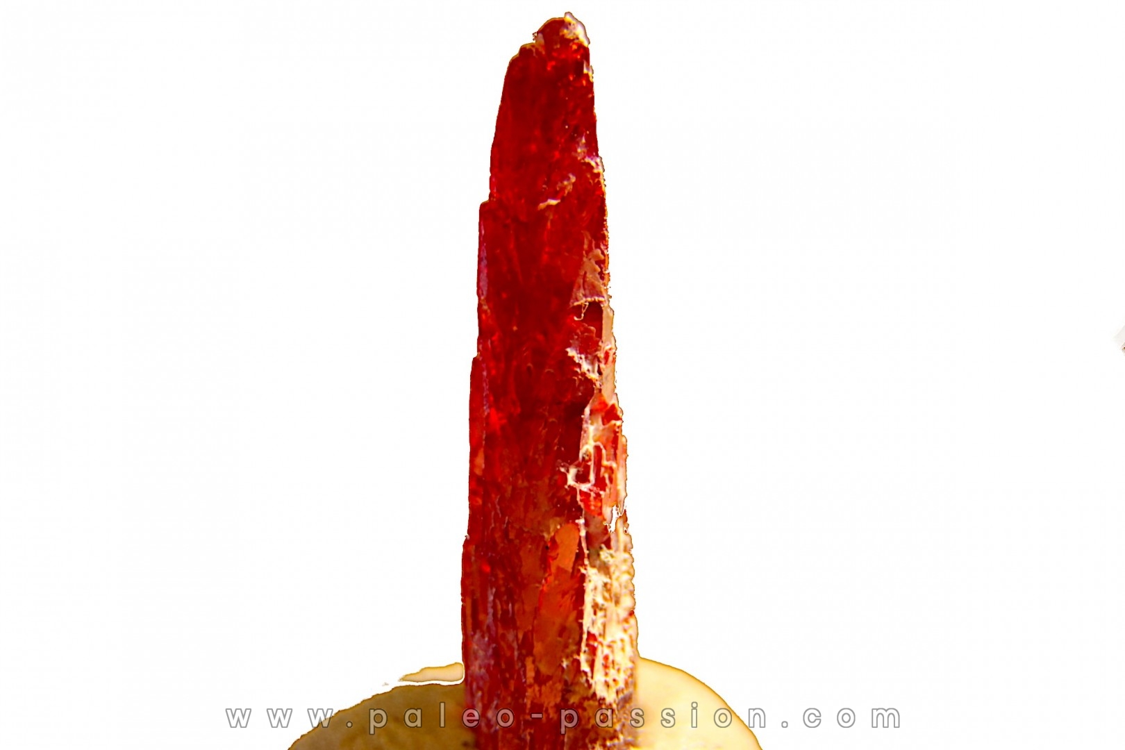 PROUSTITE - Bouismas mine, Bou Azzer, Morocco