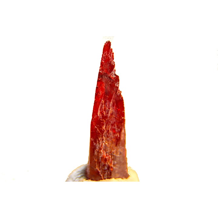 PROUSTITE - Bouismas mine, Bou Azzer, Morocco
