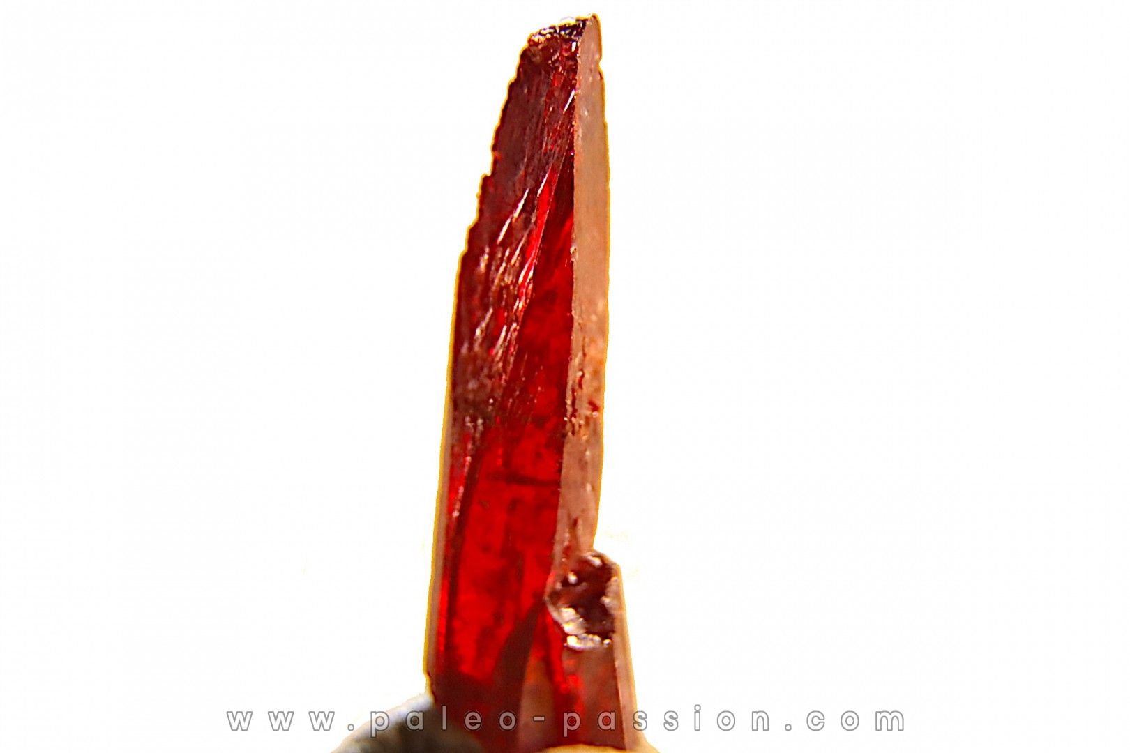 PROUSTITE - mine de Bouismas, Bou Azzer, Maroc