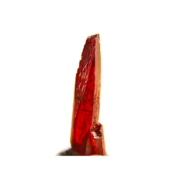 PROUSTITE - mine de Bouismas, Bou Azzer, Maroc