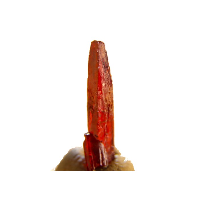 PROUSTITE - Bouismas mine, Bou Azzer, Morocco