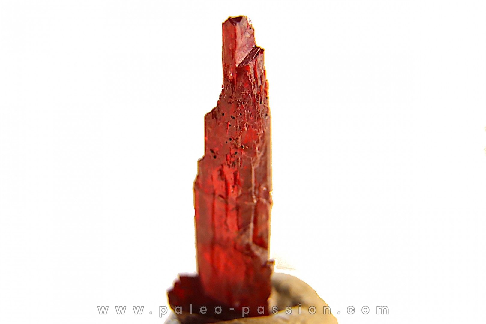 PROUSTITE - Bouismas mine, Bou Azzer, Morocco