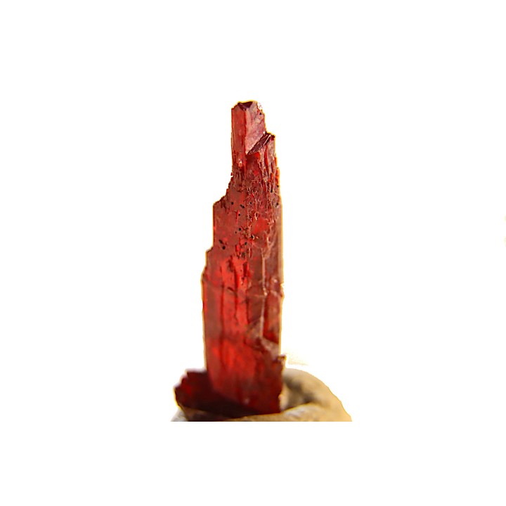PROUSTITE - Bouismas mine, Bou Azzer, Morocco