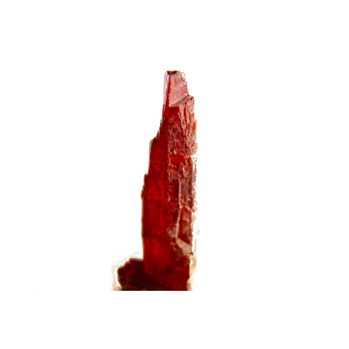 PROUSTITE - mine de Bouismas, Bou Azzer, Maroc
