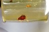 Copal: Blatte + Diptères + Coléoptères - Pliocène à holocène - Antsiranana, Madagascar