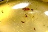 Copal: Termite ailé + Diptères + Coléoptère - Pliocène à holocène - Antsiranana, Madagascar