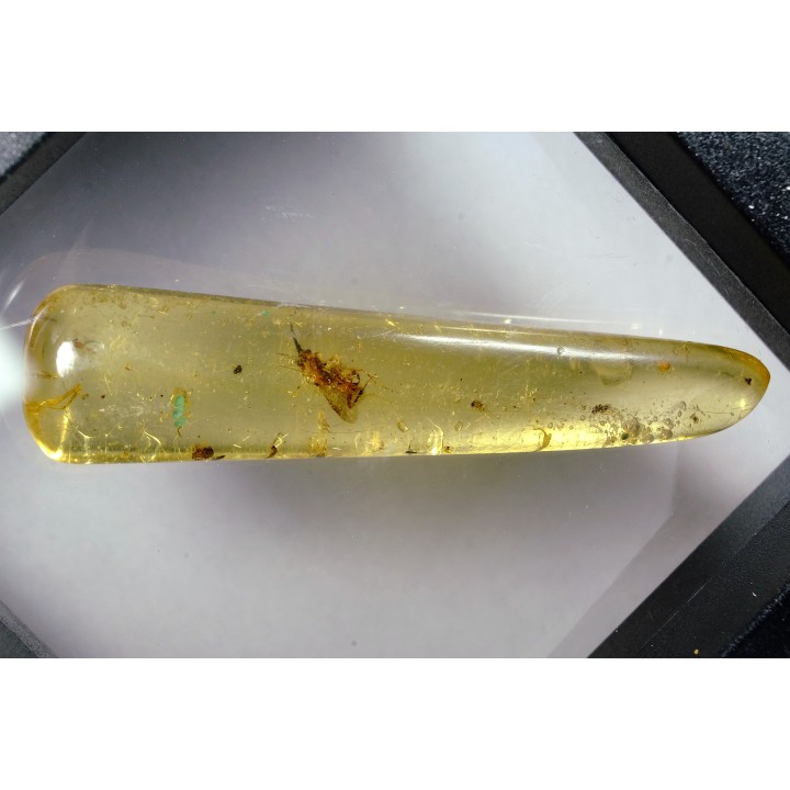 Copal: Hyménoptères + petits Diptères - Pliocène à holocène - Antsiranana, Madagascar