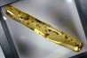 insect: Nombreux petits Diptères + Coléoptère + Araignée