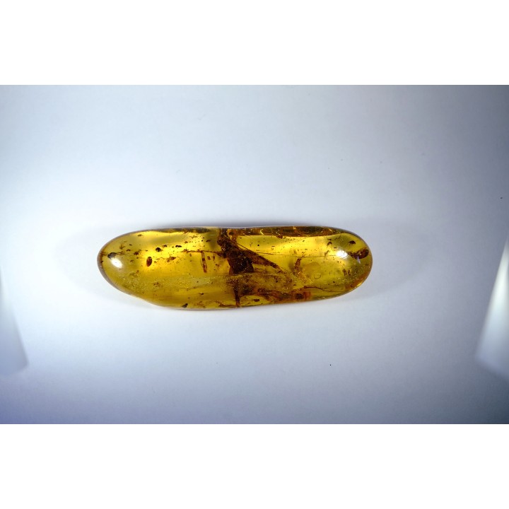 Copal: Gryllidae + Araignée +  diptères, coléoptères, hyménoptères - Pliocène à holocène - Antsiranana, Madagascar