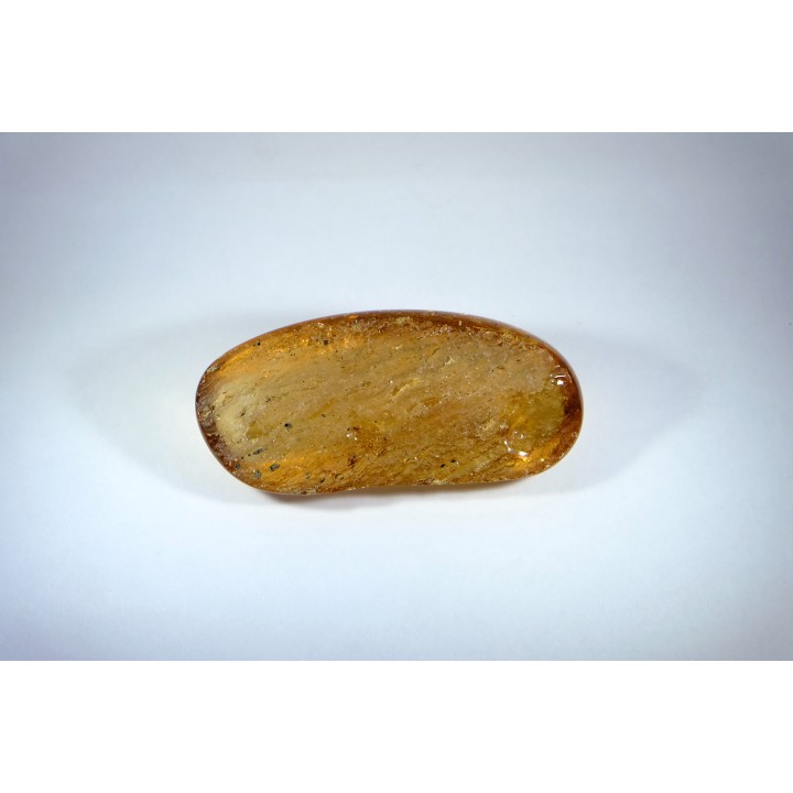 Copal: Hyménoptères + Coléoptères Scolytinae - Pliocène à holocène - Antsiranana, Madagascar