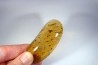 Copal: Hyménoptères + Coléoptères Scolytinae - Pliocène à holocène - Antsiranana, Madagascar