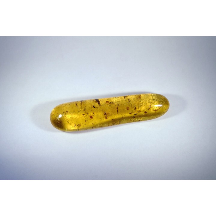 Copal: Araignées + nombreux hyménoptères - Pliocène à holocène - Antsiranana, Madagascar