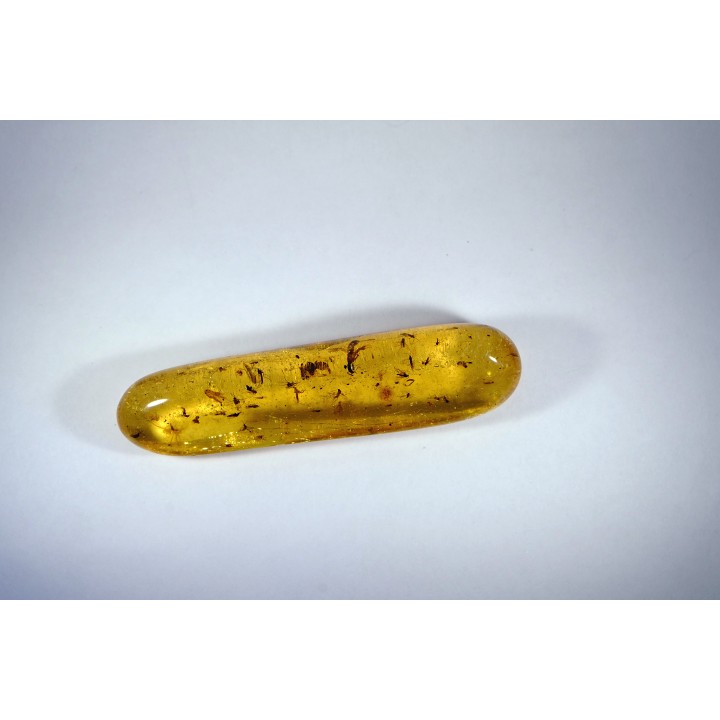Copal: Araignées + nombreux hyménoptères - Pliocène à holocène - Antsiranana, Madagascar