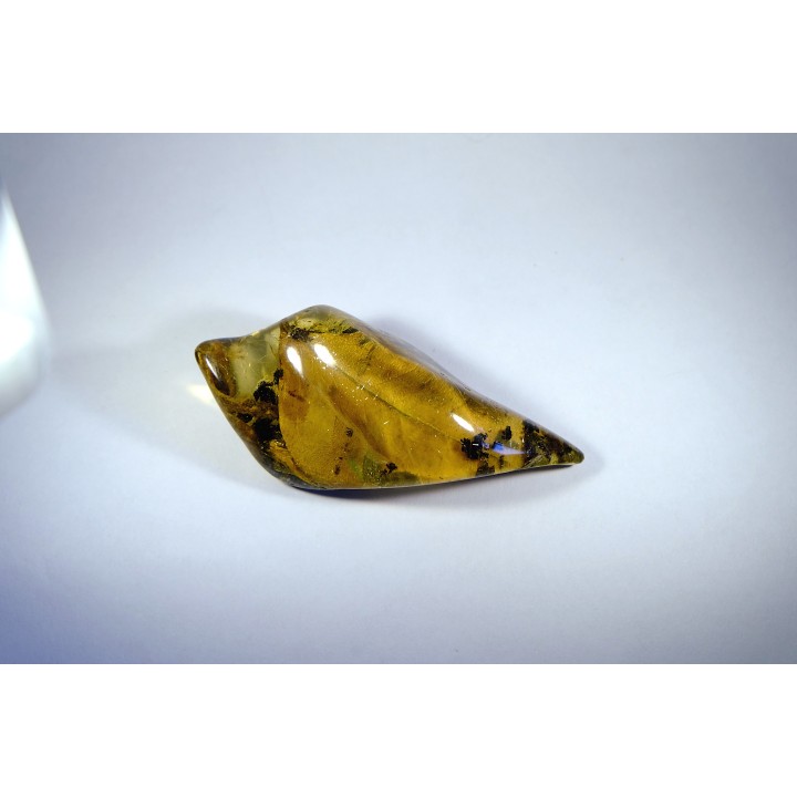insect: Feuille et divers