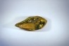 Copal: Feuille et divers - Pliocène à holocène - Antsiranana, Madagascar