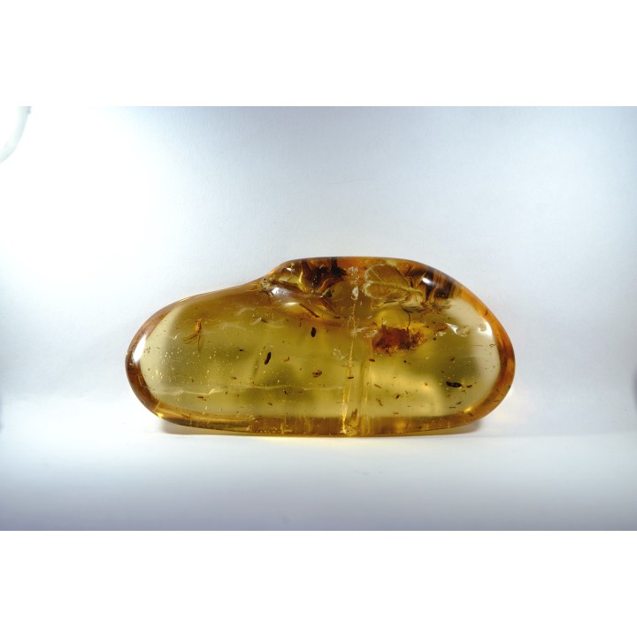 Copal: Gryllidae + Coléoptères + petits diptères et hyménoptères - Pliocène à holocène - Antsiranana, Madagascar
