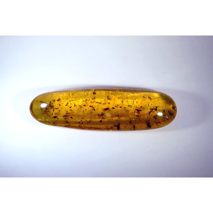 Copal: Araignées, Termites ailées, diptères, hyménoptères et coléoptères - Pliocène à holocène - Antsiranana, Madagascar