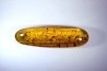 insect: Araignées + Termites ailées + nombreux diptères, hyménoptères et coléoptères
