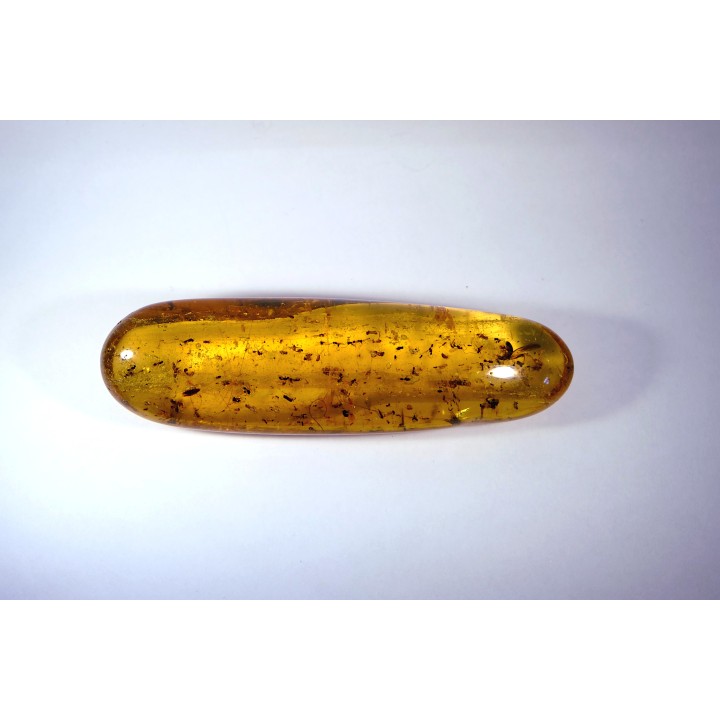 Copal: Araignées, Termites ailées, diptères, hyménoptères et coléoptères - Pliocène à holocène - Antsiranana, Madagascar