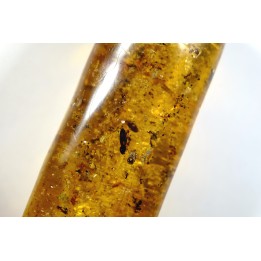 Copal: Divers coléoptères et diptères - Pliocène à holocène - Antsiranana, Madagascar